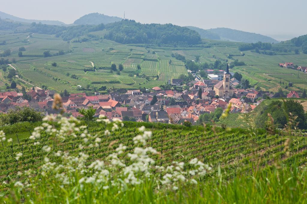 Braviscasa - Ferienresidenz Stadttor Endingen Endingen am Kaiserstuhl Extérieur photo